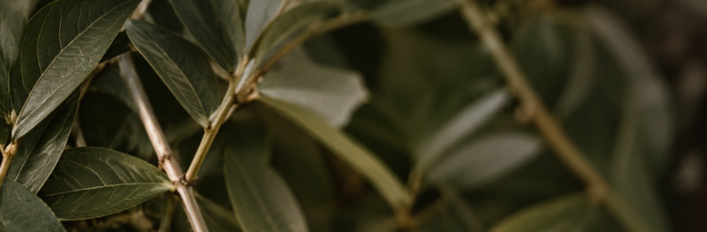 Conscious Materials and Thoughtful Design